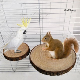 Bệ gỗ vui chơi cho chuột hamster