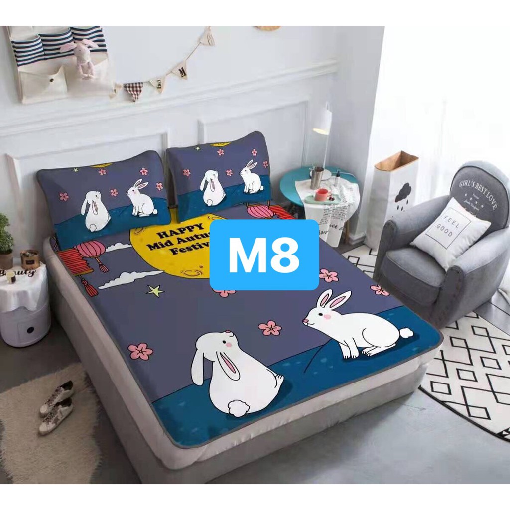 CHIẾU ĐIỀU HÒA CAO SU NON LATEX 5D