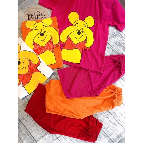 [Chuyên Sỉ] Bộ thun gấu ngố hình in lụa chất thun cotton - hàng đẹp may kĩ chuẩn shop