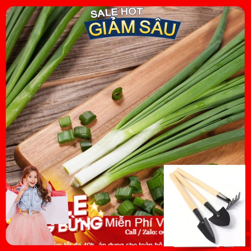 Hạt Giống Hành Lá - 5 Gram Hạt / Gói - Tặng Kèm Bộ Dụng Cụ Trồng Cây Mini