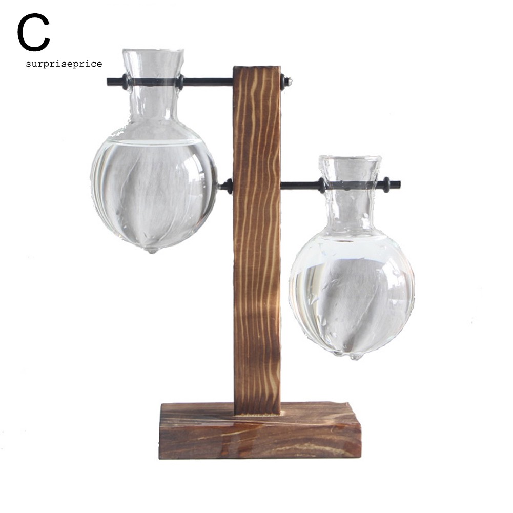 Chậu trồng cây cảnh bằng gỗ độc đáo sáng tạo