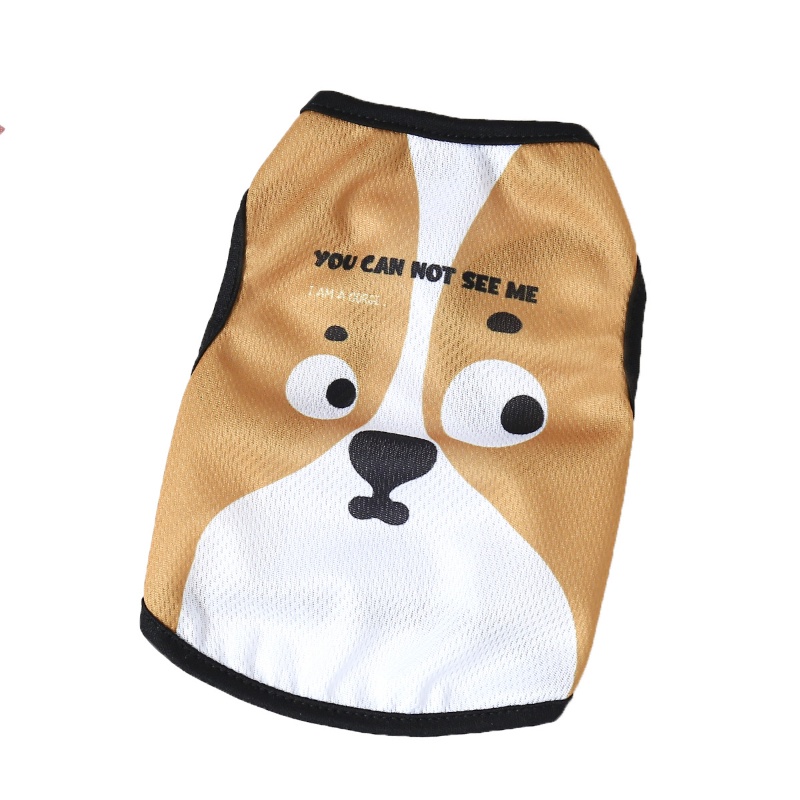 Áo Thun Lưới Thoáng Khí In Họa Tiết Hoạt Hình Dành Cho Cún Cưng Shih Tzu