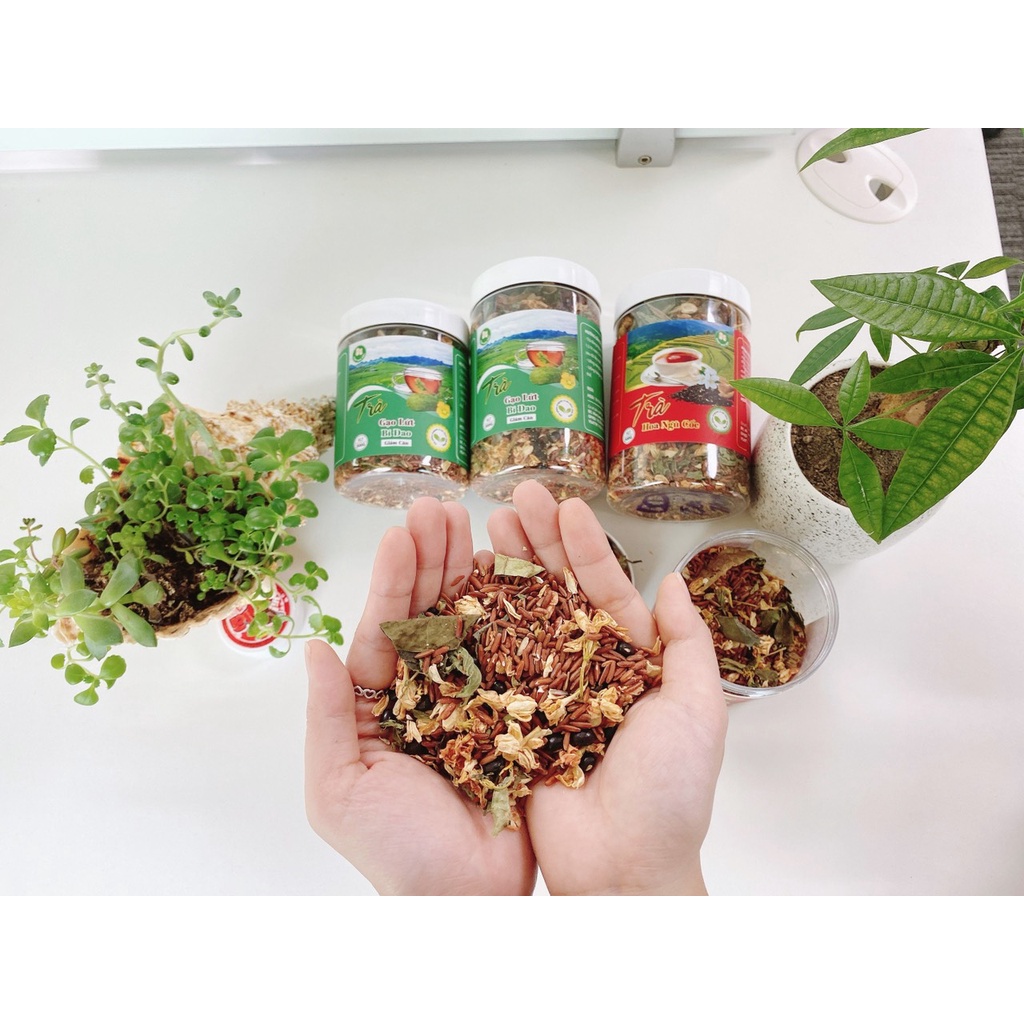 Combo 3 hộp trà ( Gạo lứt táo đỏ, gạo lứt bí đao, gạo lứt xạ đen)