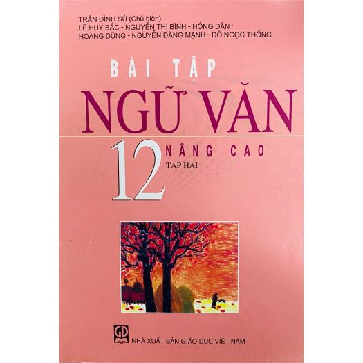 Sách - Bài Tập Ngữ Văn Lớp 12 nâng cao Tập 1