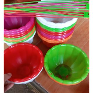 Chậu hình bí trồng hoa phi 22cm x15cm