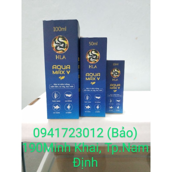 Chế phẩm cá rồng đục mắt nấm đen trắng xù vẩy AQUA MAX V