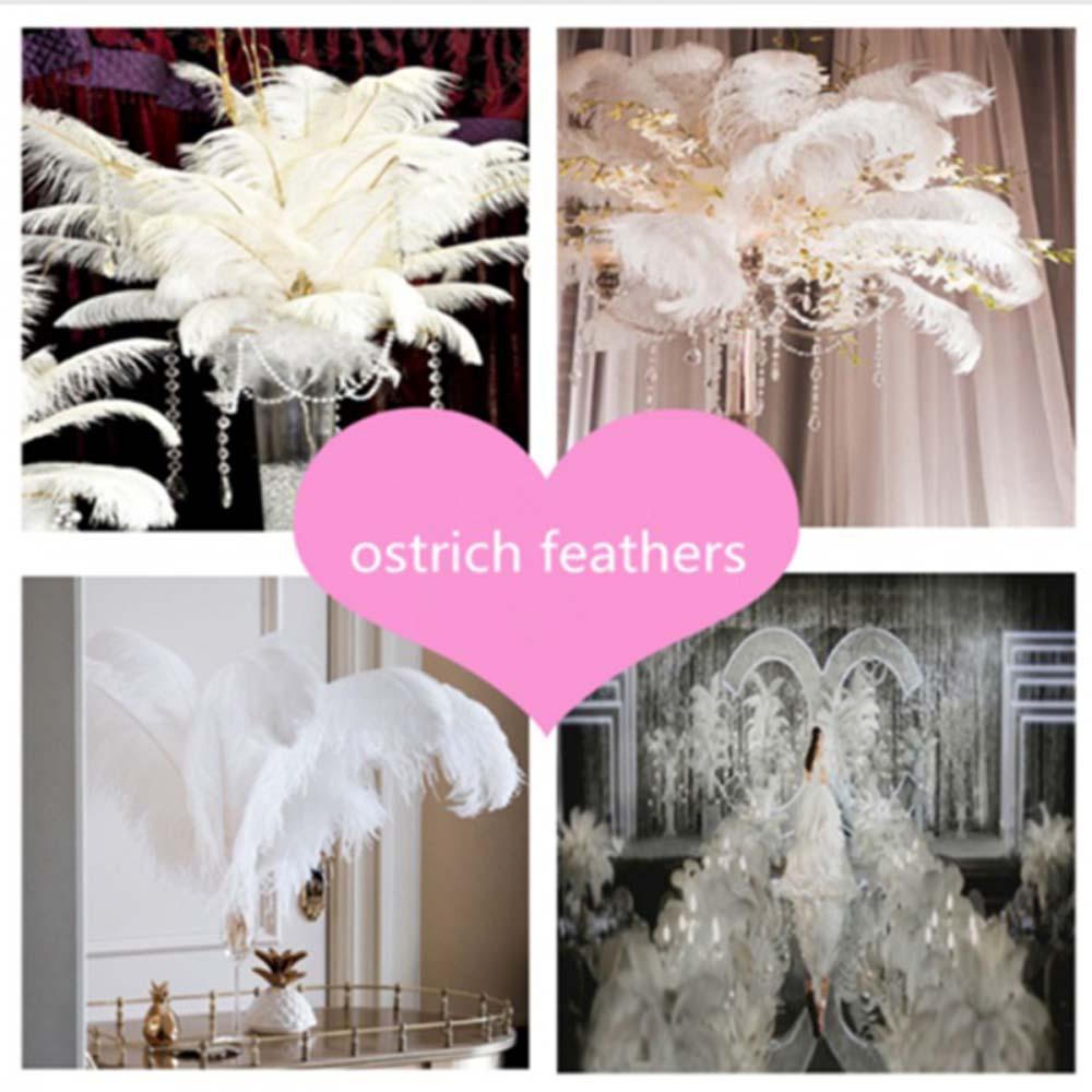 Lông Đà Điểu Đầy Màu Sắc Tự Nhiên Dùng Làm Trang Sức