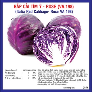 Hạt giống Bắp Cải Tím Italia Rose (VA.198) – 2gram