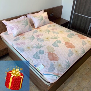 Chiếu điều hoà tencel M6