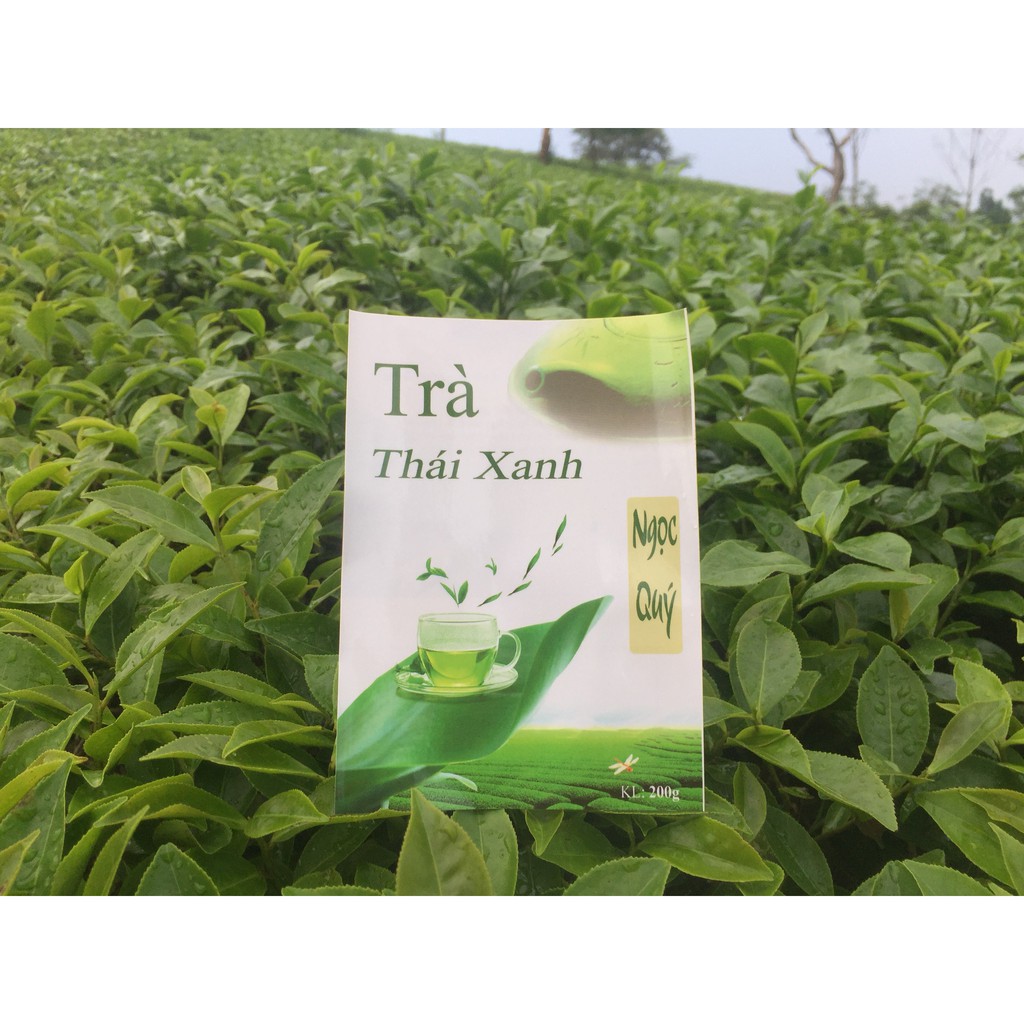 COMBO 3 gói Trà Thái Xanh - pha trà sữa thái 200g