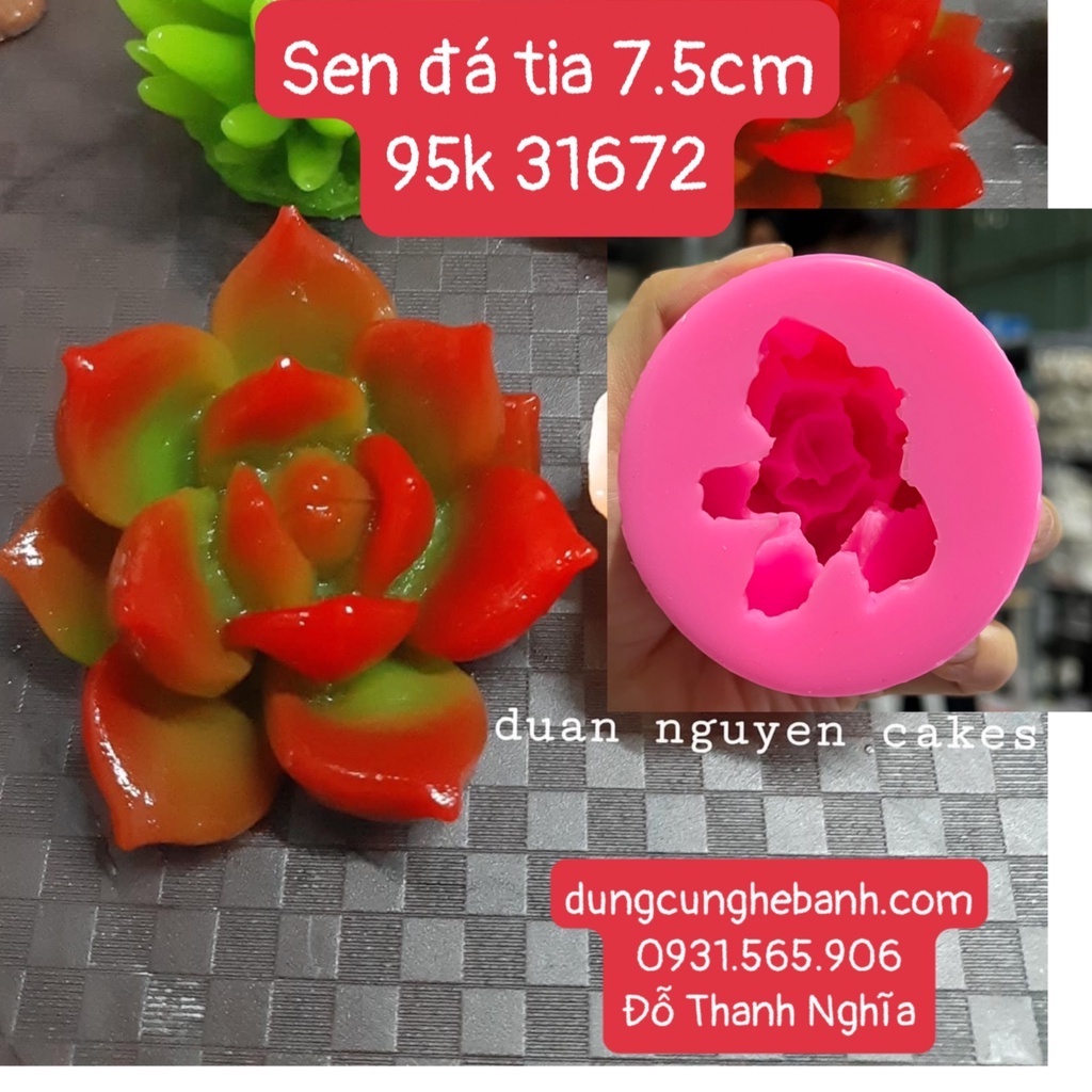 Khuôn Silicone Sen Đá Xương Rồng Nhọn Tia