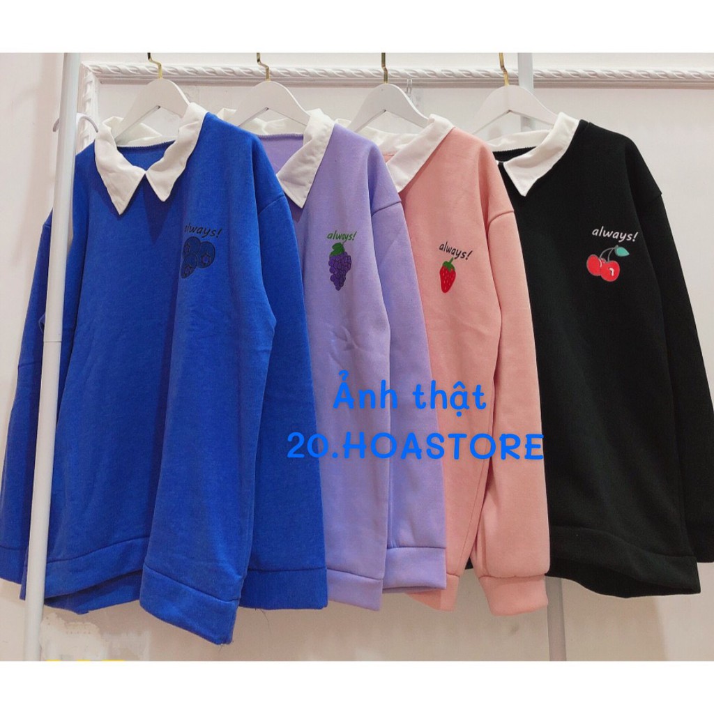 ÁO NỈ POLO TRÁI CÂY ALWAYS 4 MÀU - SWEATER DÂU CHERRY NHO VIỆT QUẤT HOT | BigBuy360 - bigbuy360.vn