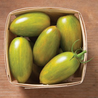 Hạt giống cà chua trái cây