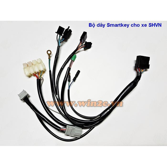 Bộ dây điện ổ khóa Honda Smartkey độ/chế cho các dòng xe