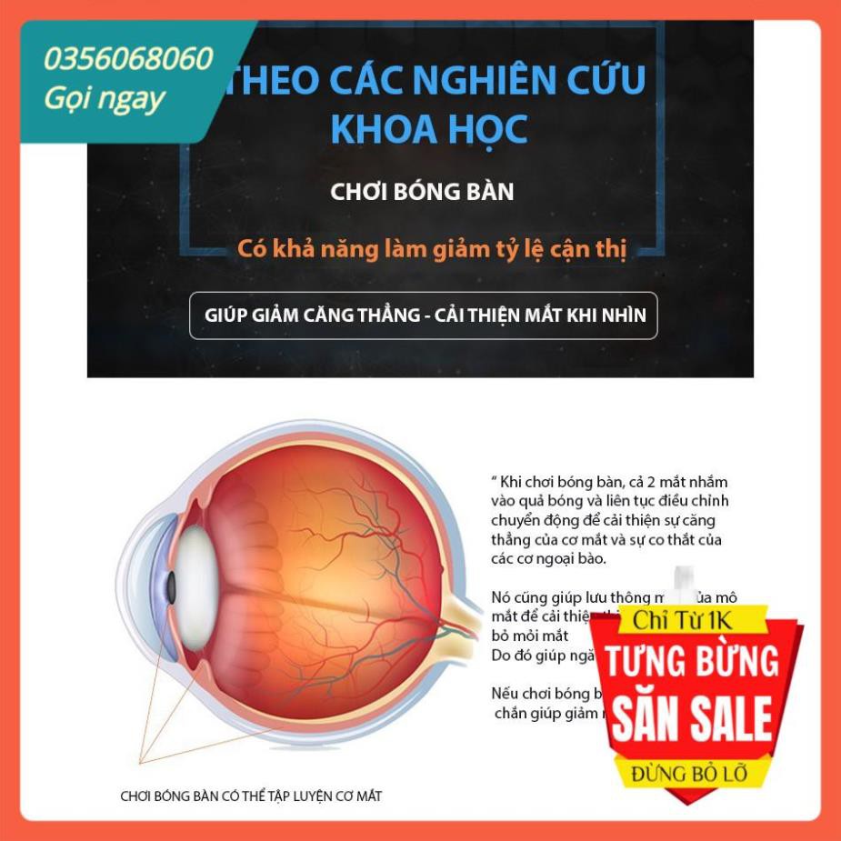 ⚡GIÁ HỦY DIỆT⚡BỘ BÓNG BÀN PHẢN XẠ &  LUYỆN MẮT CHO CẢ GIA ĐÌNH SIÊU HOT