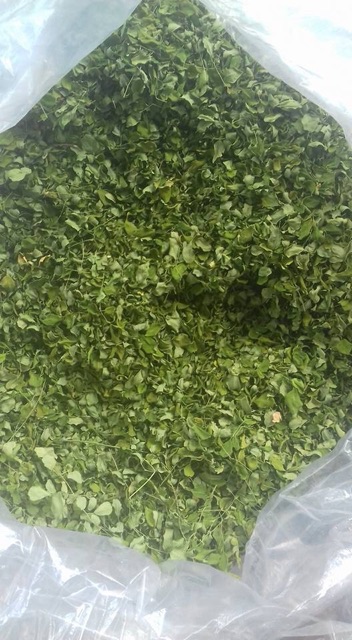 Bột chùm ngây nguyên chất sấy lạnh nhà làm | BigBuy360 - bigbuy360.vn