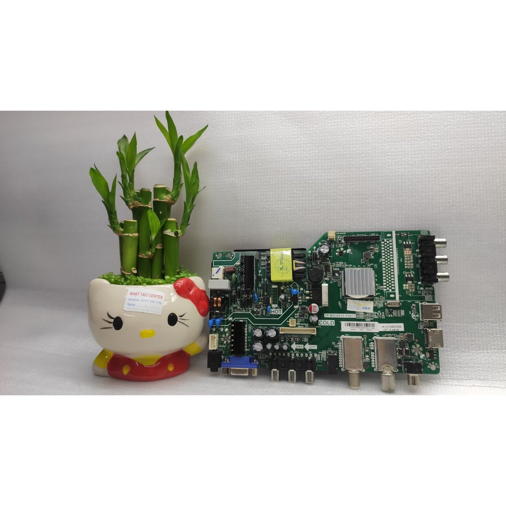 BO ASANZO CÁC LOẠI