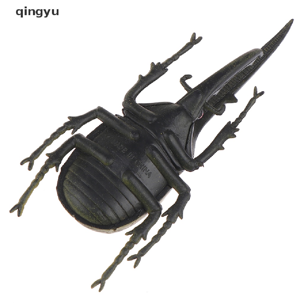 Mô Hình Côn Trùng Sống Động Như Thật Dùng Dạy Học