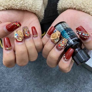 Primer Liên Kết Bột Mỹ