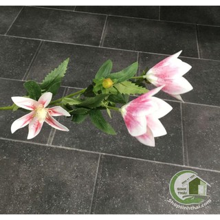 Hoa loa kèn màu trắng hồng - hoa bách hợp, huệ tây dẻo