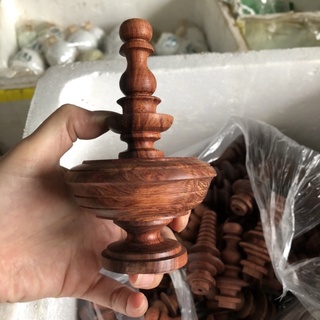 nậm cẩm lồng mào