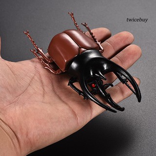 Set 6 mô hình côn trùng con bọ cánh cứng