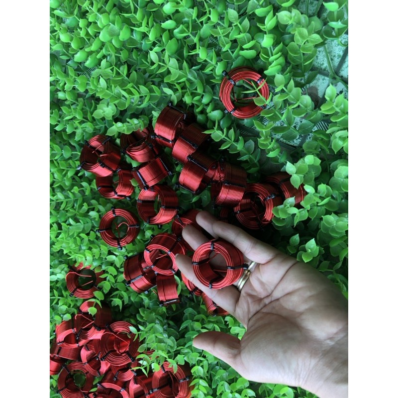 Cuộn cảm dành cho loa treble 0.24mH