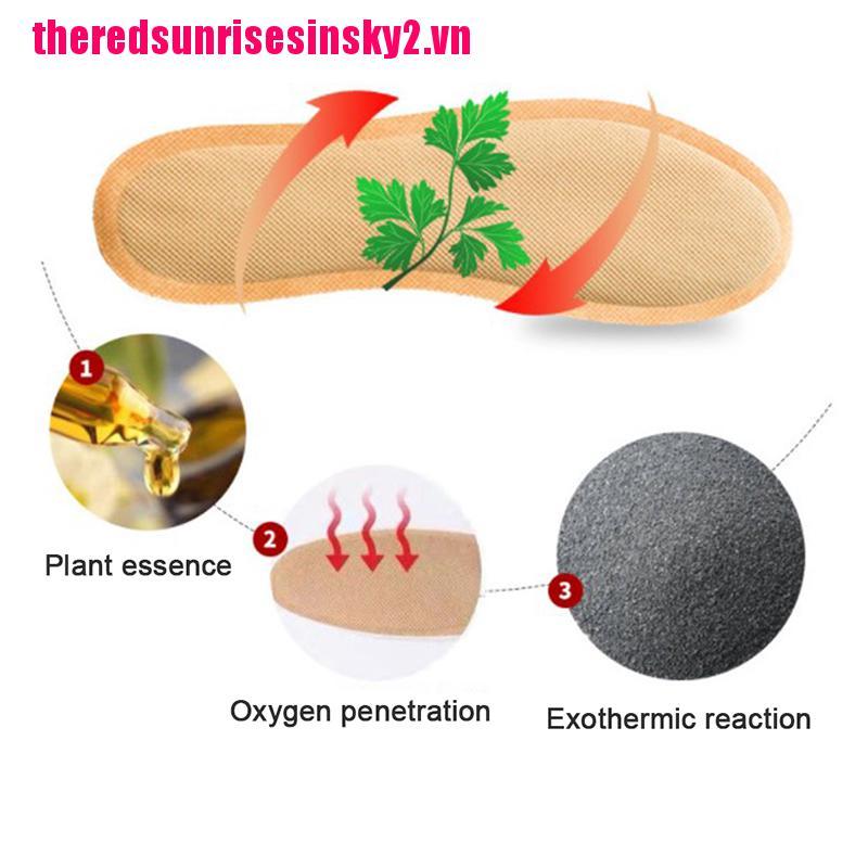 (Hàng Mới Về) Miếng Lót Giày Tự Sưởi Ấm Tự Làm Nóng Dành Cho Nam Và Nữ