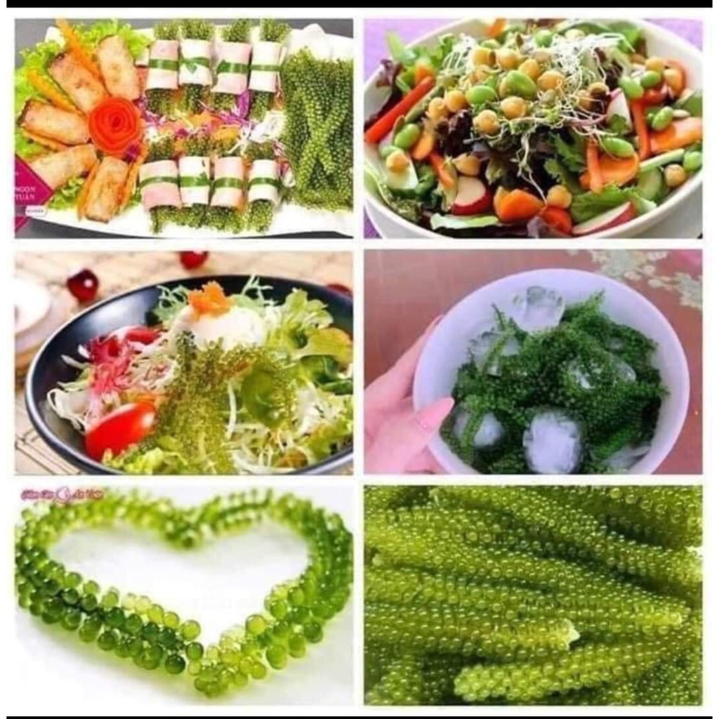 Nước sốt mè rang KEWPIE | BigBuy360 - bigbuy360.vn