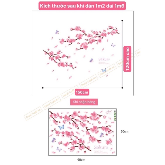 Decal Dán Tường hoa Anh Đào 2 nhánh  Kèm ảnh thật khách dán