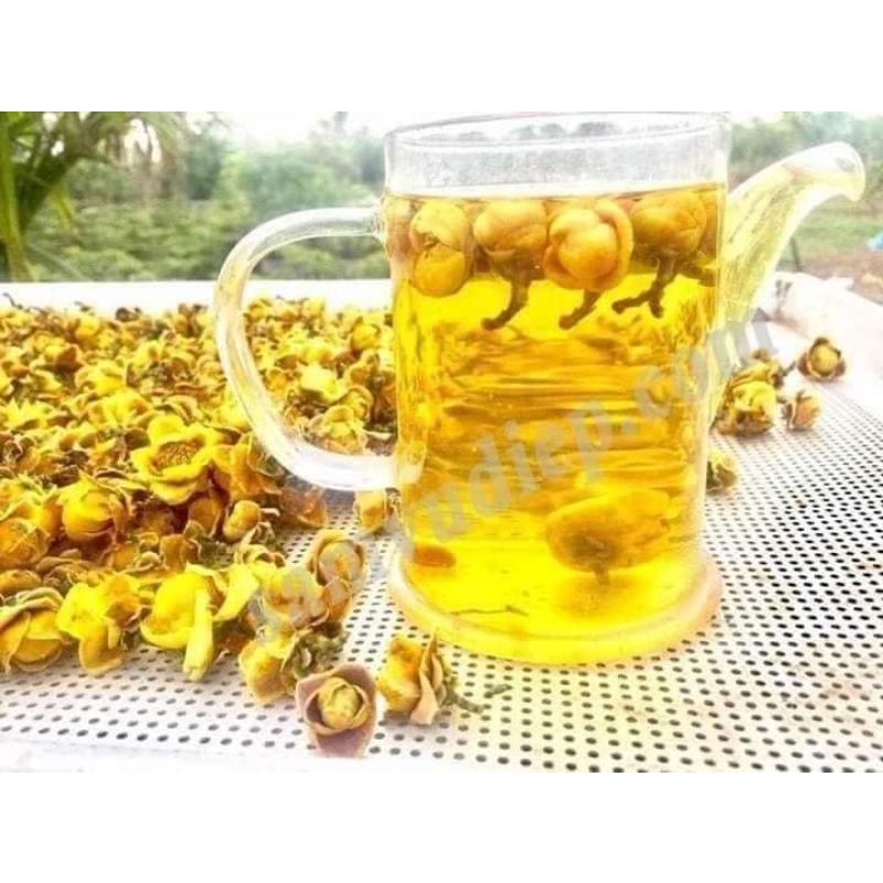 Cây chè  hoa vàng, Hải đường vàng, lá và hoa uống rất tốt cho sk, ức chế ung thư
