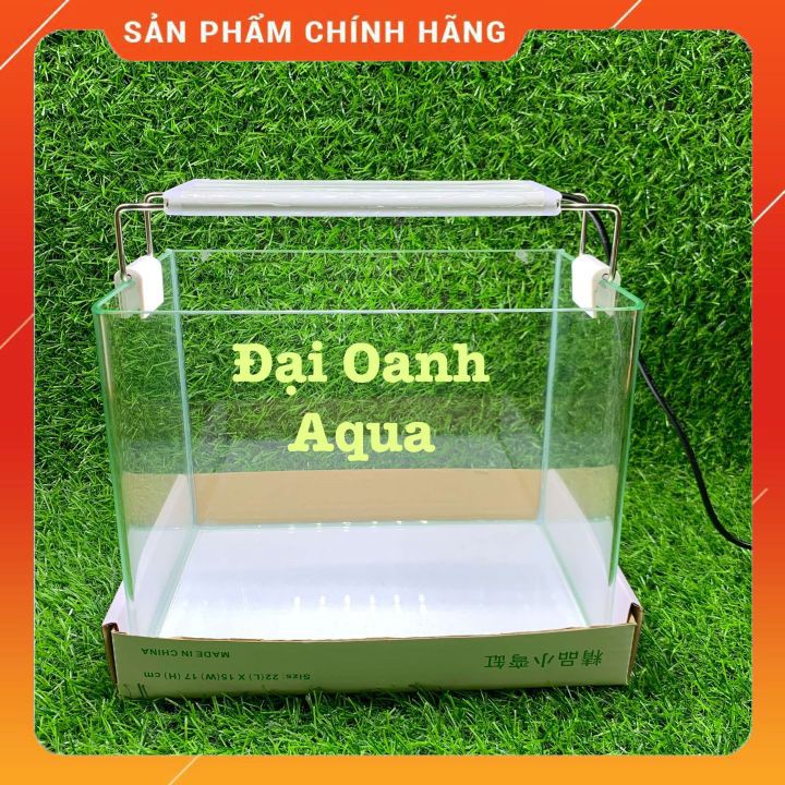 Bộ Bể Cá Kính Đúc 20cm Mini Để Bàn - Bể Cá Cảnh Mini