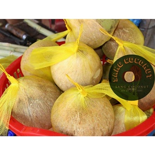 Dừa Sáp Loại 1 nhiều thịt ( đặc sản trà Vinh)