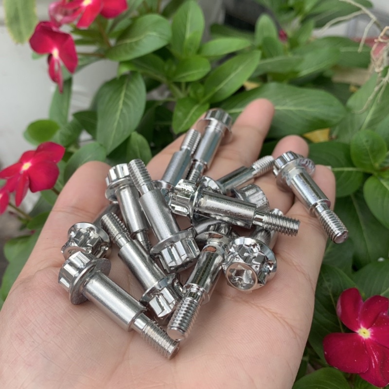 Ốc tay thắng Zin D3 cho xe số