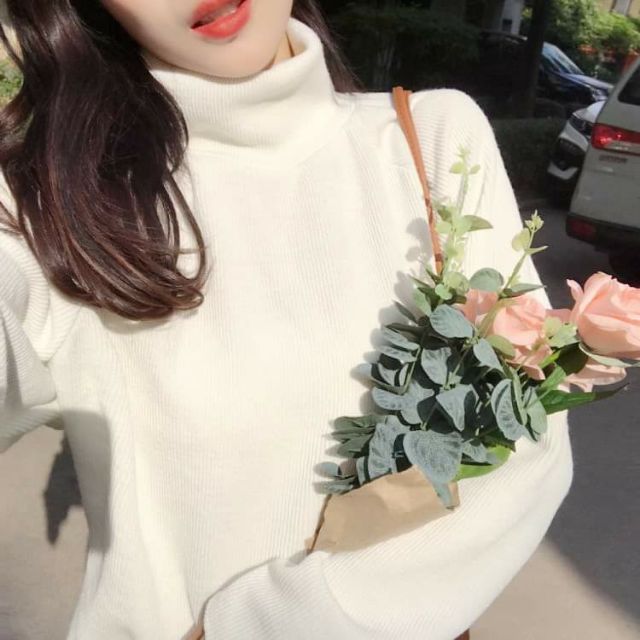 (Có sẵn)Áo len cổ cao Hồng kông hương vị retro | BigBuy360 - bigbuy360.vn