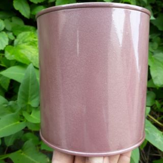 Sơn sắt mạ kẽm màu hồng bạc Dolphin không cần sơn lót (màu nhũ ánh kim) - Tặng kèm cọ