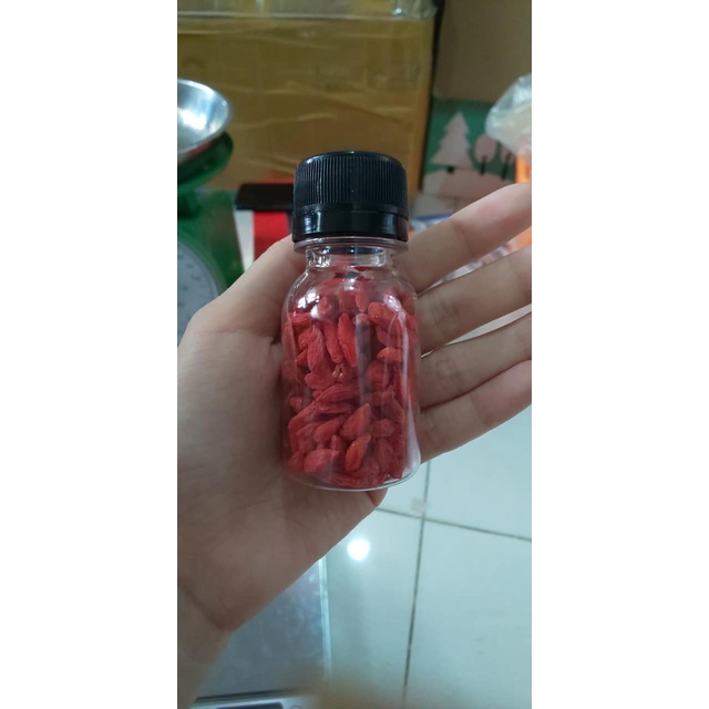 Kỷ tử đỏ - Hamster