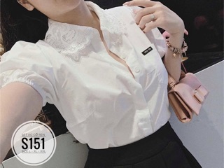 Bigsize Set áo cổ ren S151