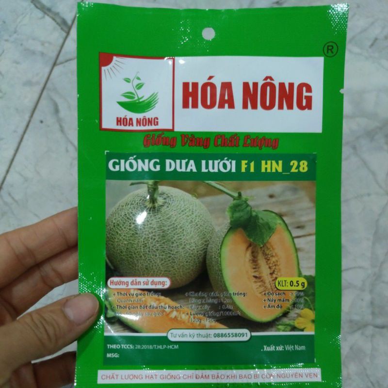 Hạt giống dưa lưới xanh ruột vàng 10 hạt - [ Sỉ Lẻ ]