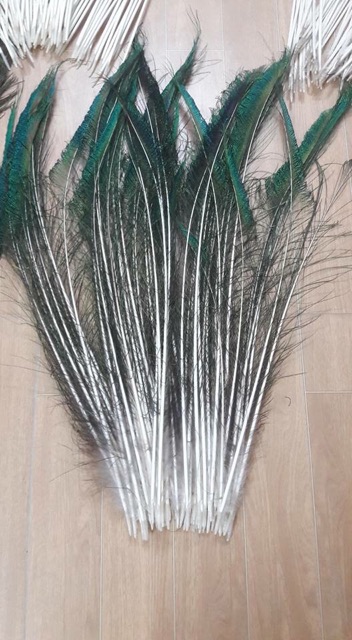 Lông công rìa tự nhiên 70-80cm loại đẹp | BigBuy360 - bigbuy360.vn