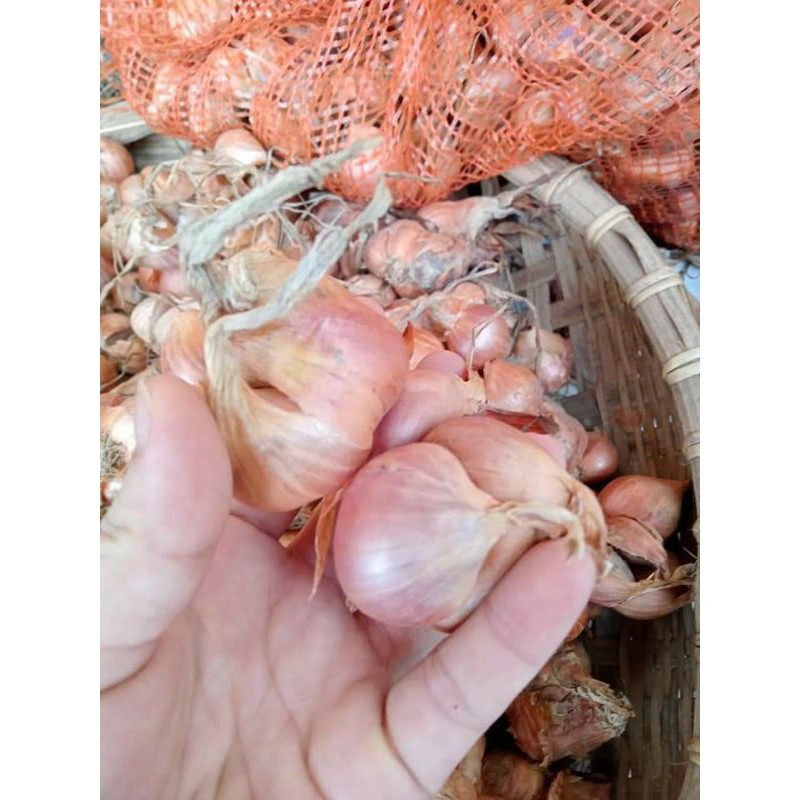 ĐẶC SẢN HÀNH KINH MÔN HẢI DƯƠNG