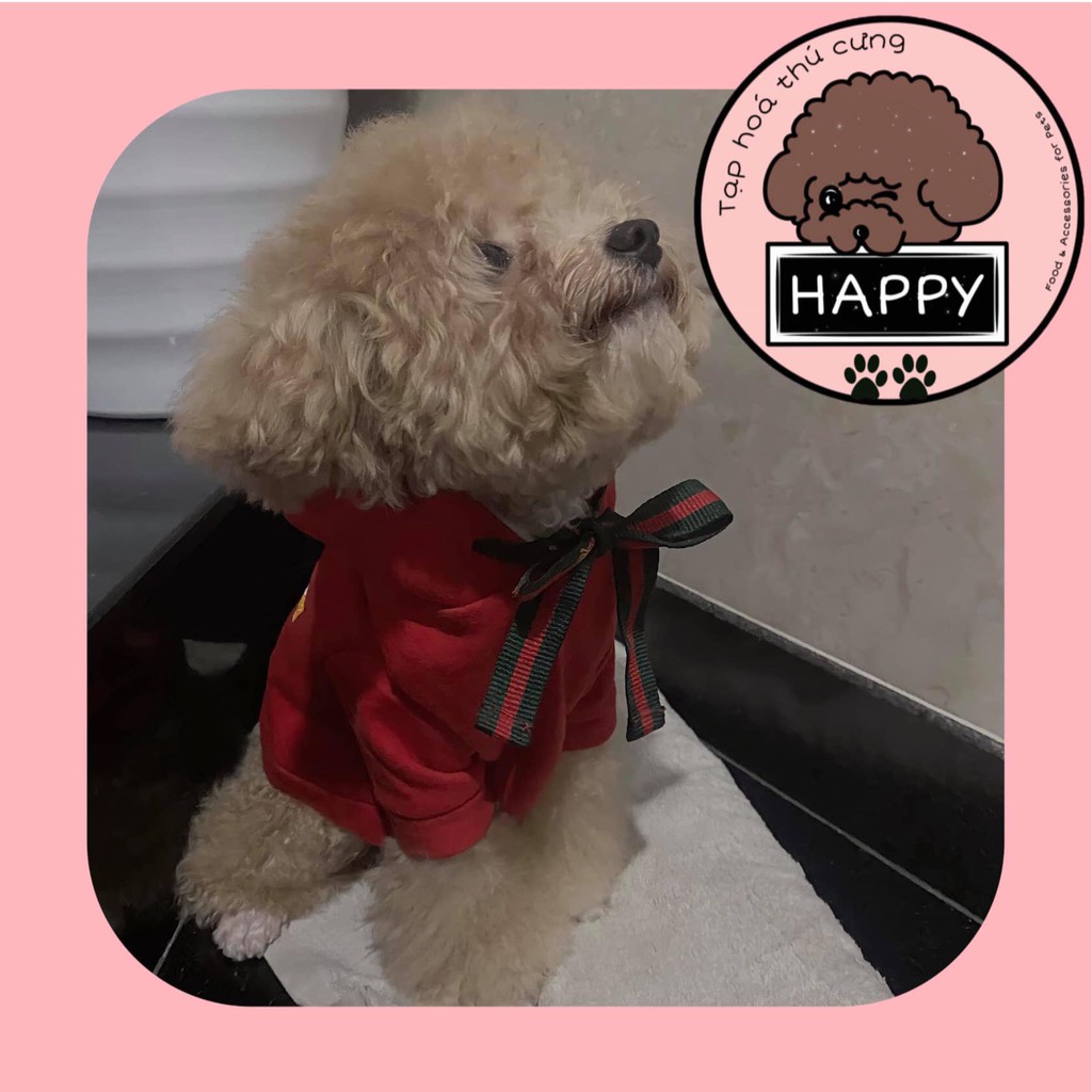 Áo nỉ hoodie thêu hình thỏ Cupid [Ảnh thật] [Có sẵn] - Đồ Noel chó mèo