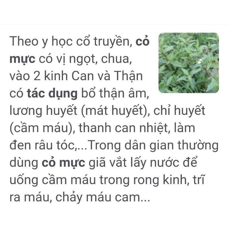 1kg cỏ mực  tươi _ khô. Đọt non tươi