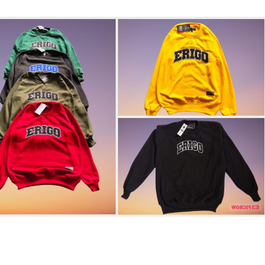 Áo Nỉ Cổ Tròn Dài Tay In Chữ Erigo Ergterlaris 6.6 | BigBuy360 - bigbuy360.vn
