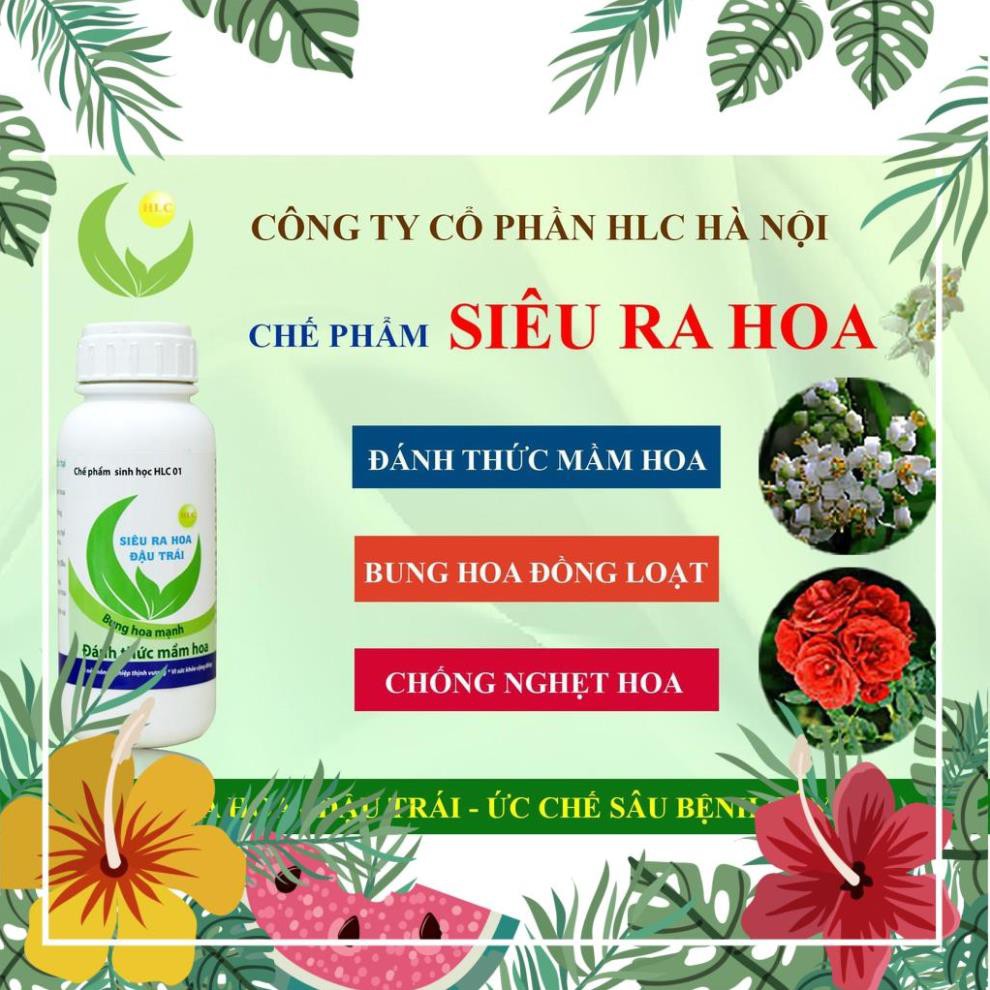 CHẾ PHẨM SINH HỌC SIÊU RA HOA HLC 500ml hàng chính hãng công ty