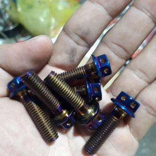 HP65 ỐC BẮT ĐĨA VÀ HEO DẦU