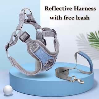 Dây đai phản quang cho chó có dây buộc Dây đeo thoáng khí cho mùa hè dành cho chó nhỏ Dây đeo phản quang Dây buộc dây cho thú cưng