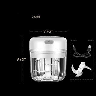 Máy Xay Tỏi Ớt Sạc Điện Cầm Tay Mini 100ml và 250ml