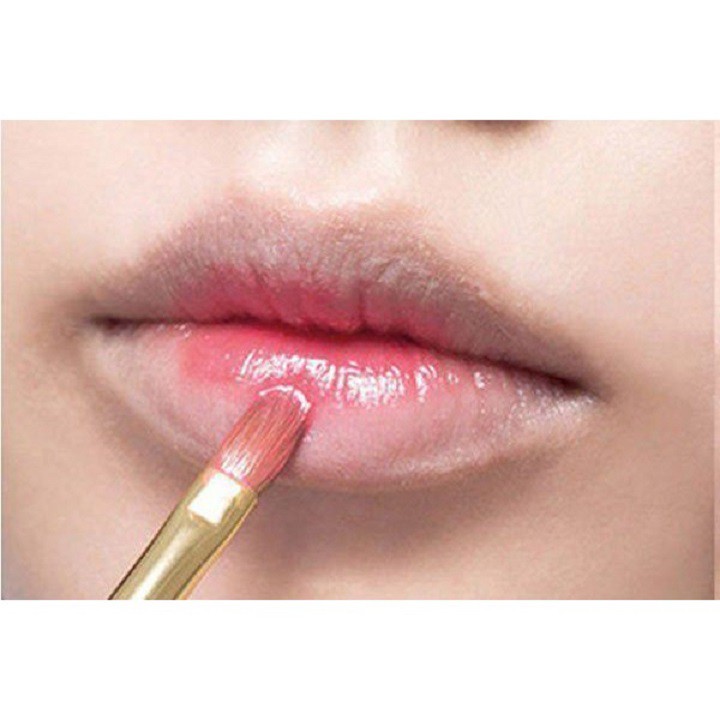 Cọ môi lông dài Vacosi Lip Brush L01