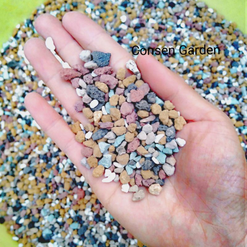 Đá Mix Trồng Sen Đá - Đá Hỗn Hợp Trộn Sẵn 6 in 1